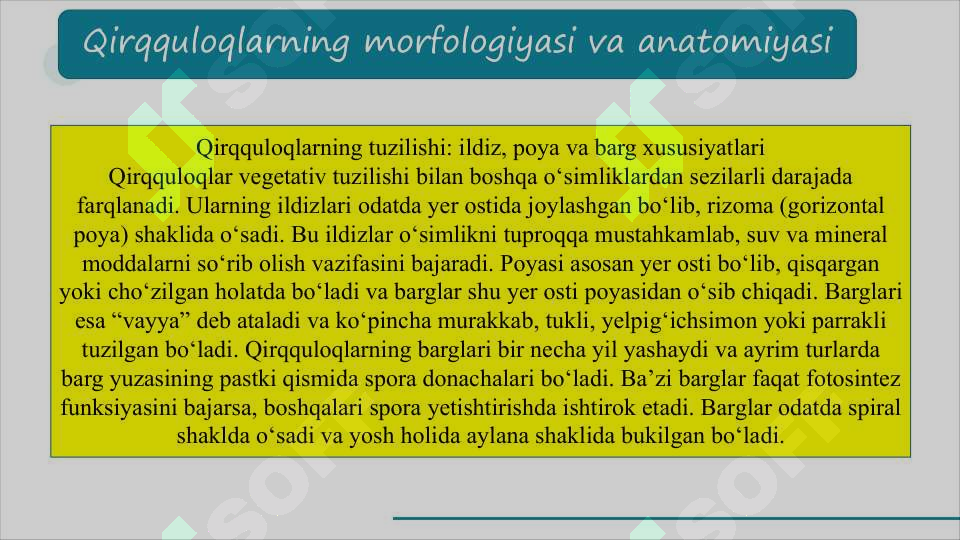 Preview 8