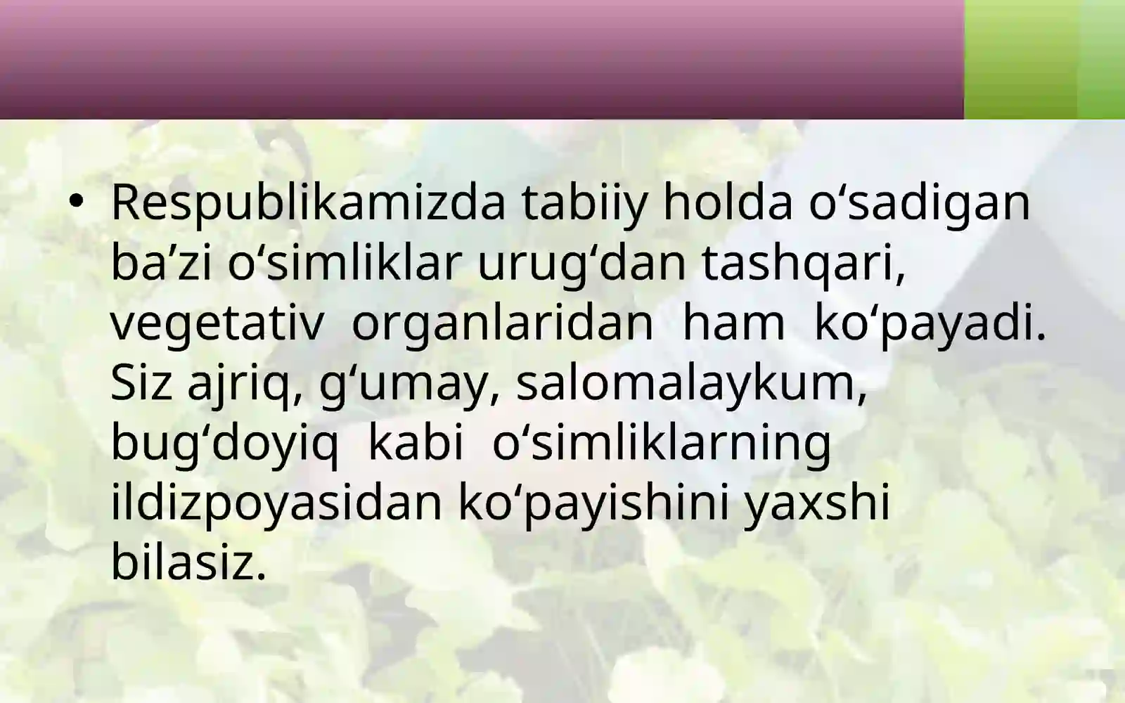 Product slide 2