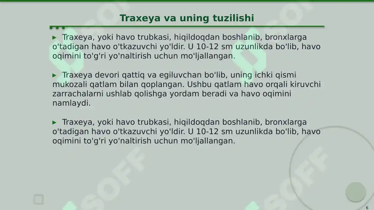 Product slide 6