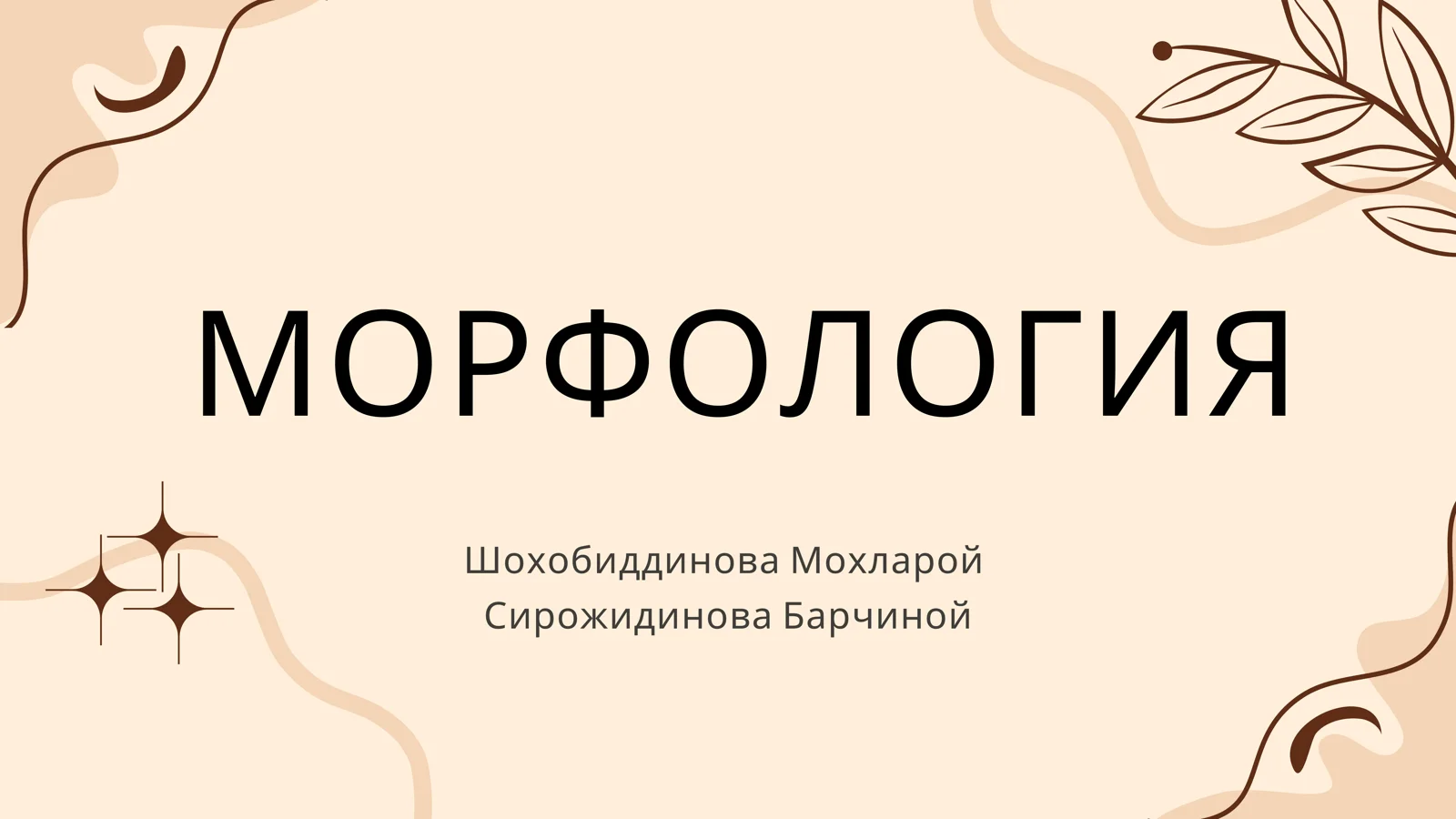Морфология