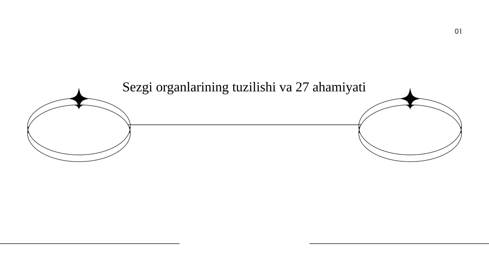 Sezgi organlarining ahamiyati