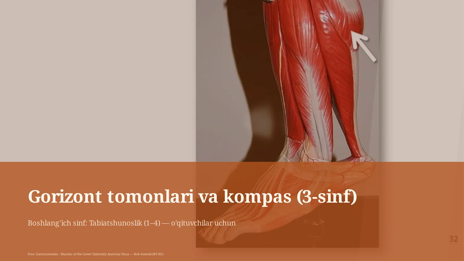 Gorizont tomonlari va kompas (3-sinf)