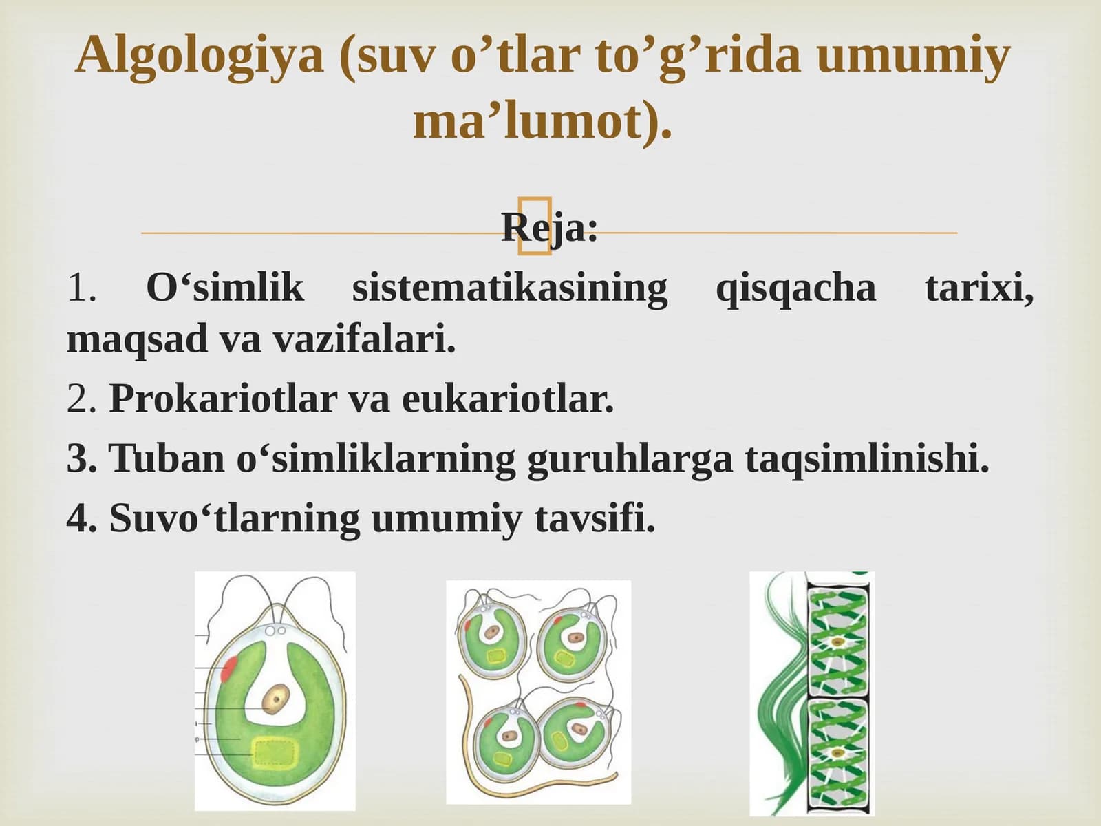 O‘simlik  sistematikasining  qisqacha  tarixi,maqsad va vazifalari