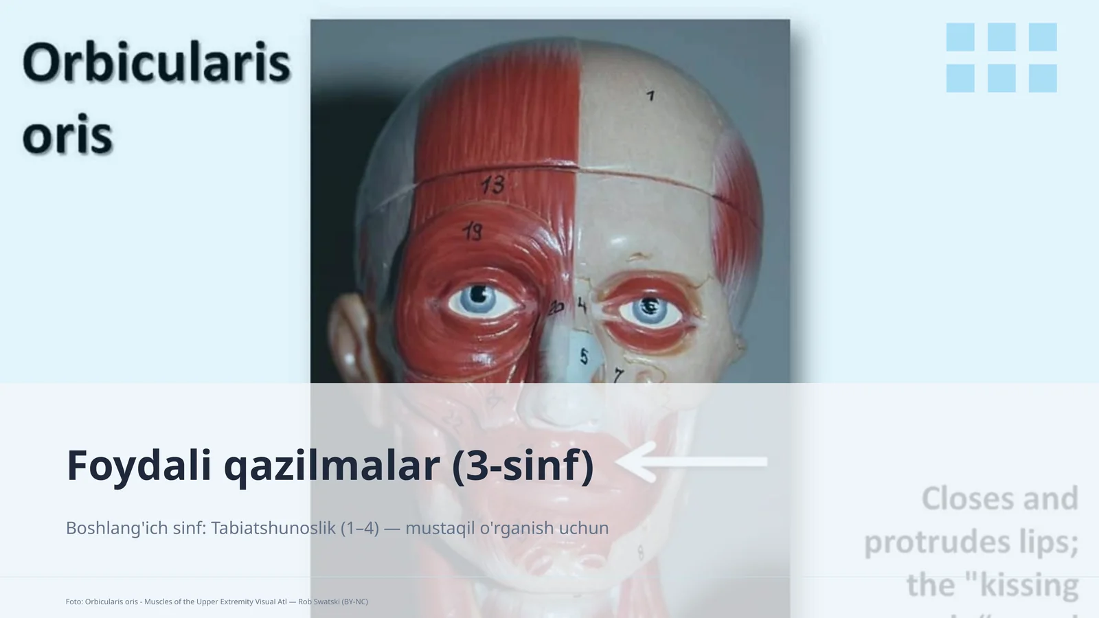 Foydali qazilmalar (3-sinf)