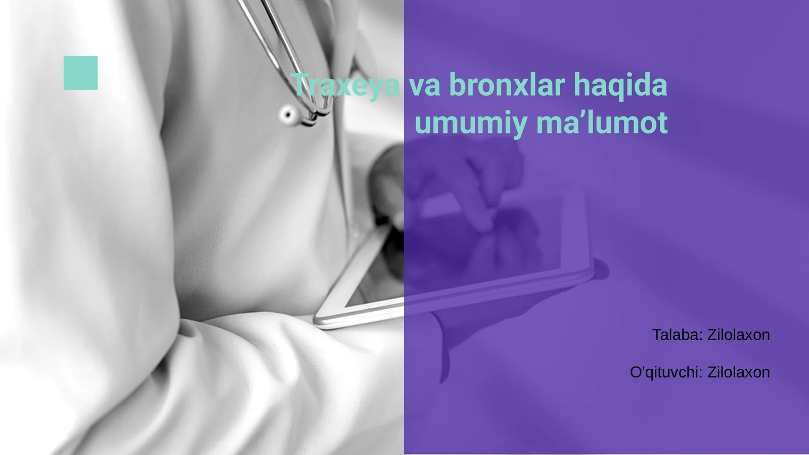 Traxeya va bronxlar haqida umumiy ma’lumot
