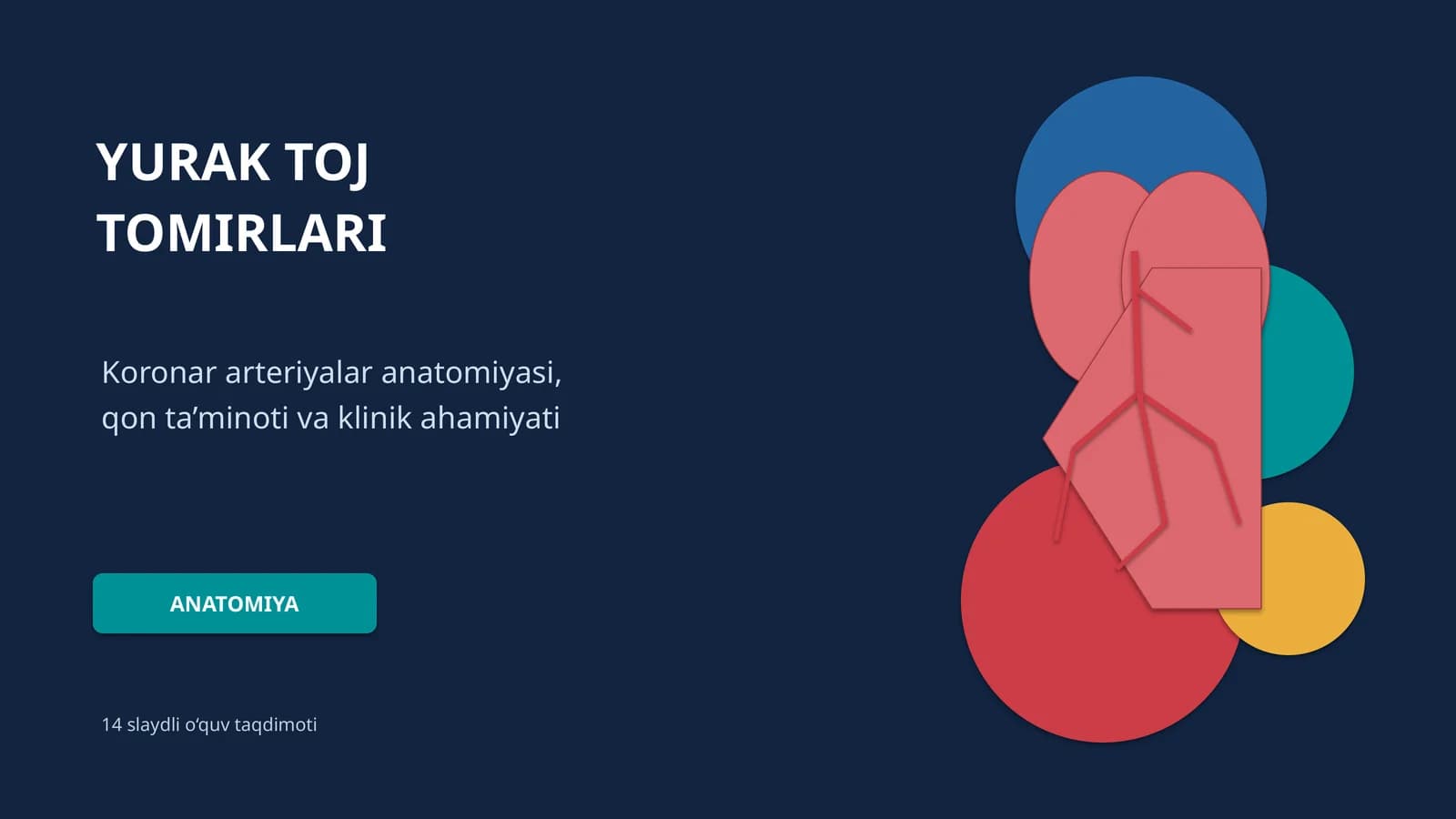 YURAK TOJ TOMIRLARI