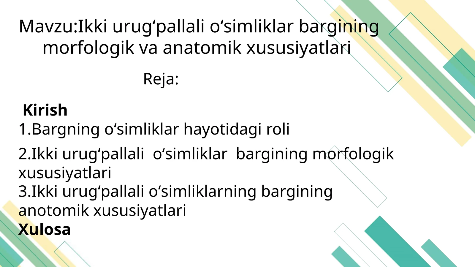Ikki urugʻpallali oʻsimliklar bargining morfologik va anatomik xususiyatlari