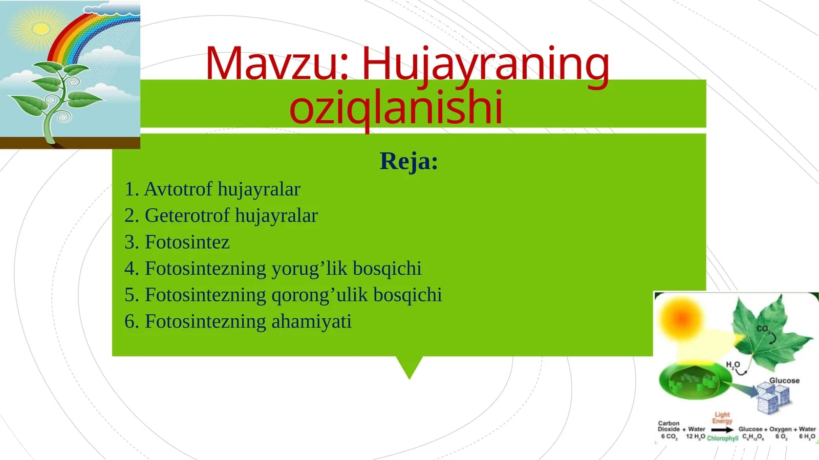 Hujayraning oziqlanishi