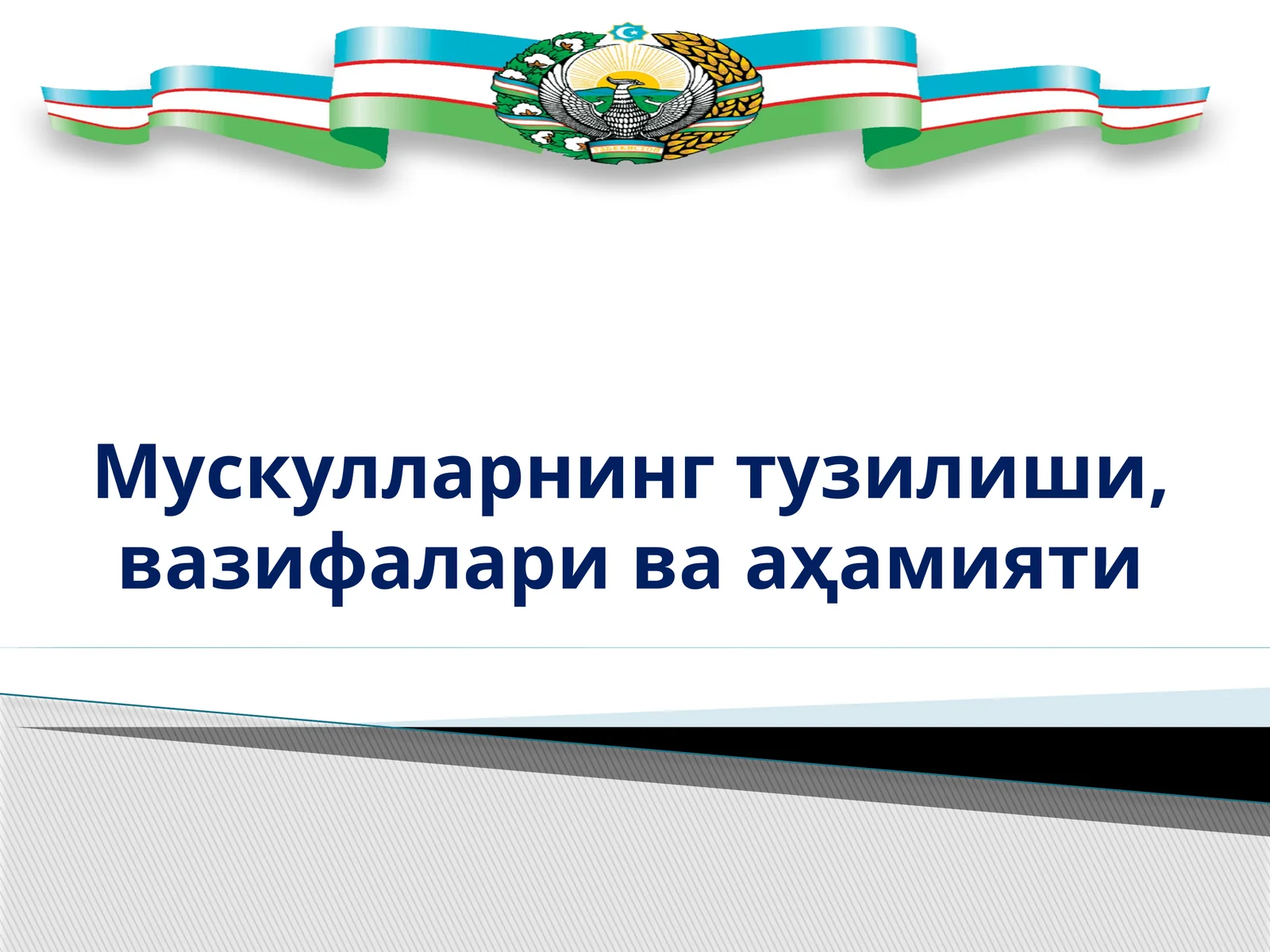 Мускулларнинг тузилиши, вазифалари ва аҳамияти