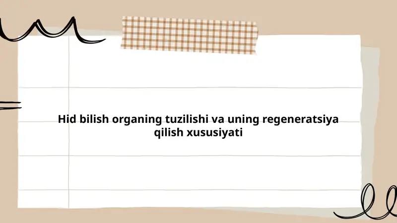 Hid bilish a'zolari tuzilishi