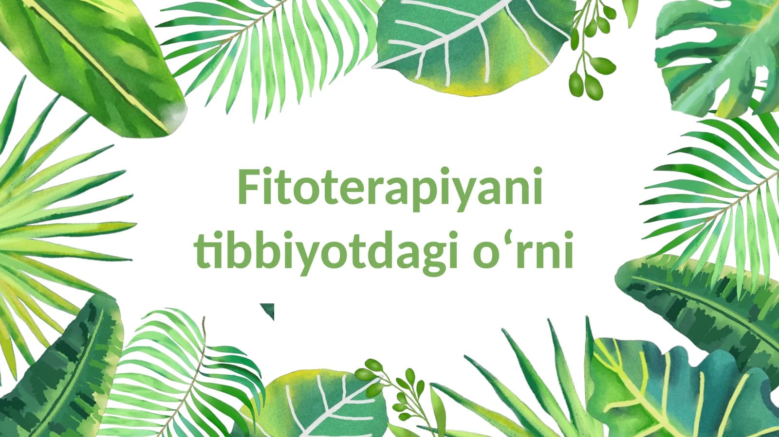 Fitoterapiyani tibbiyotdagi oʻrni