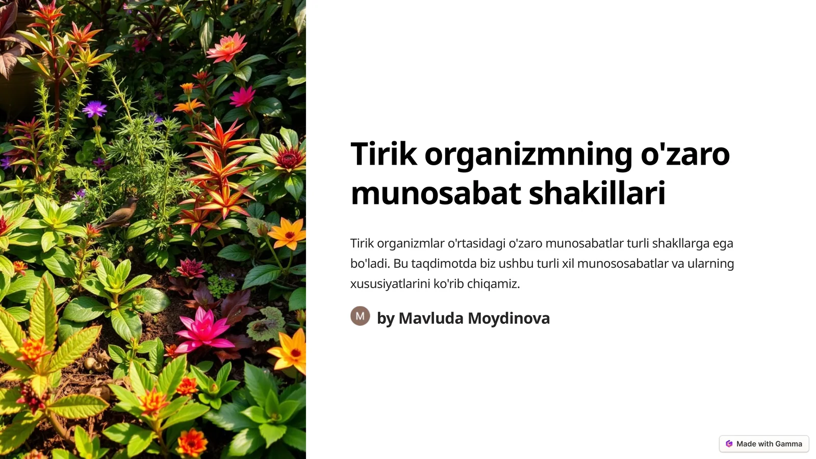 Tirik organizmning o'zaro munosabat shakillari