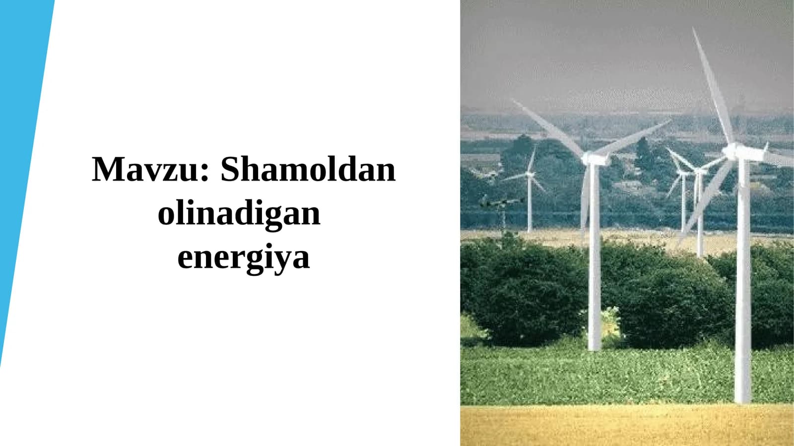 Shamoldanolinadiganenergiya