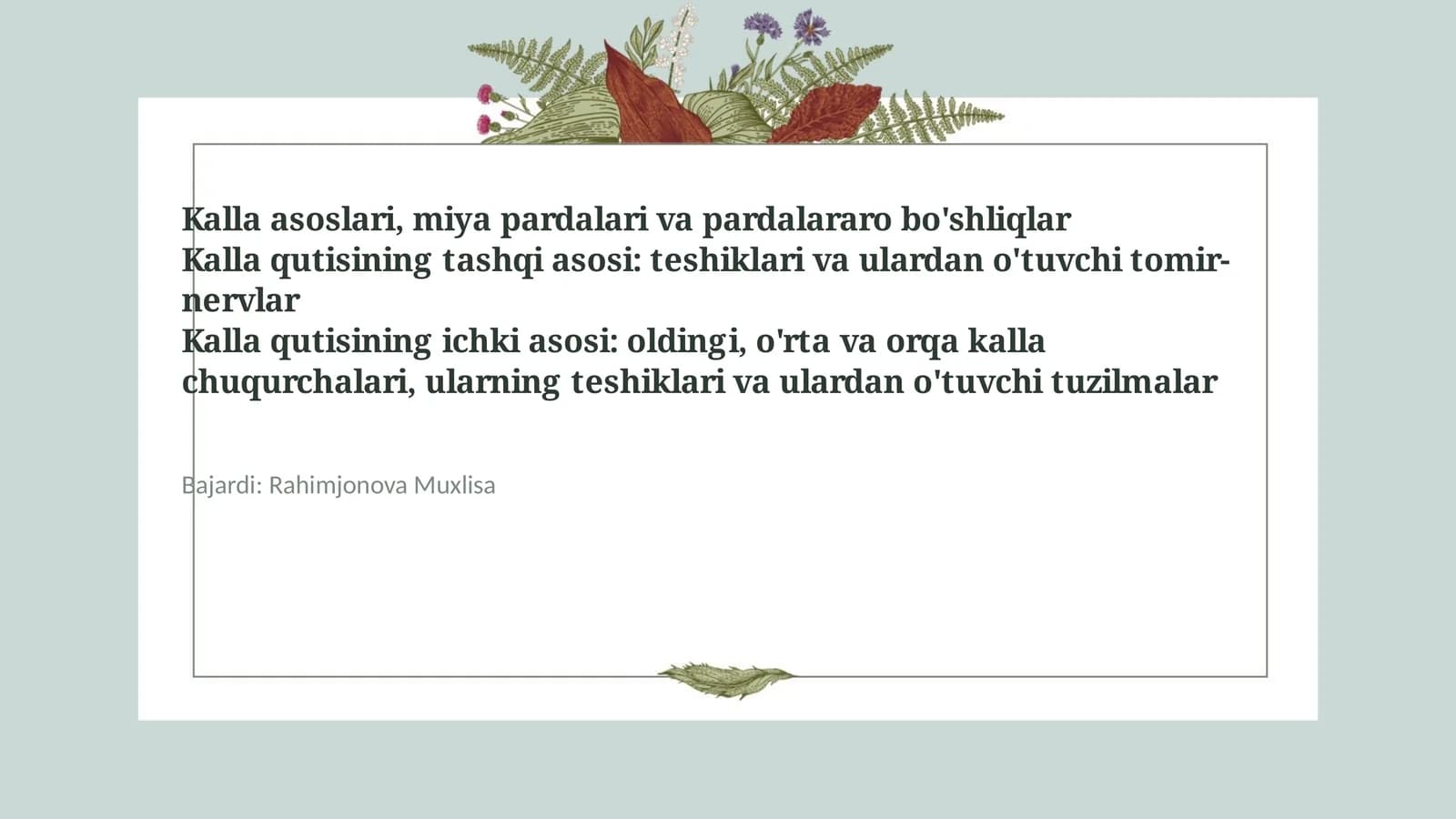 Kalla asoslari, miya pardalari va pardalararo bo'shliqlar