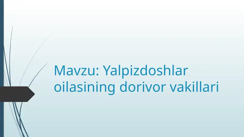 Yalpizdoshlar oilasining dorivor vakillari