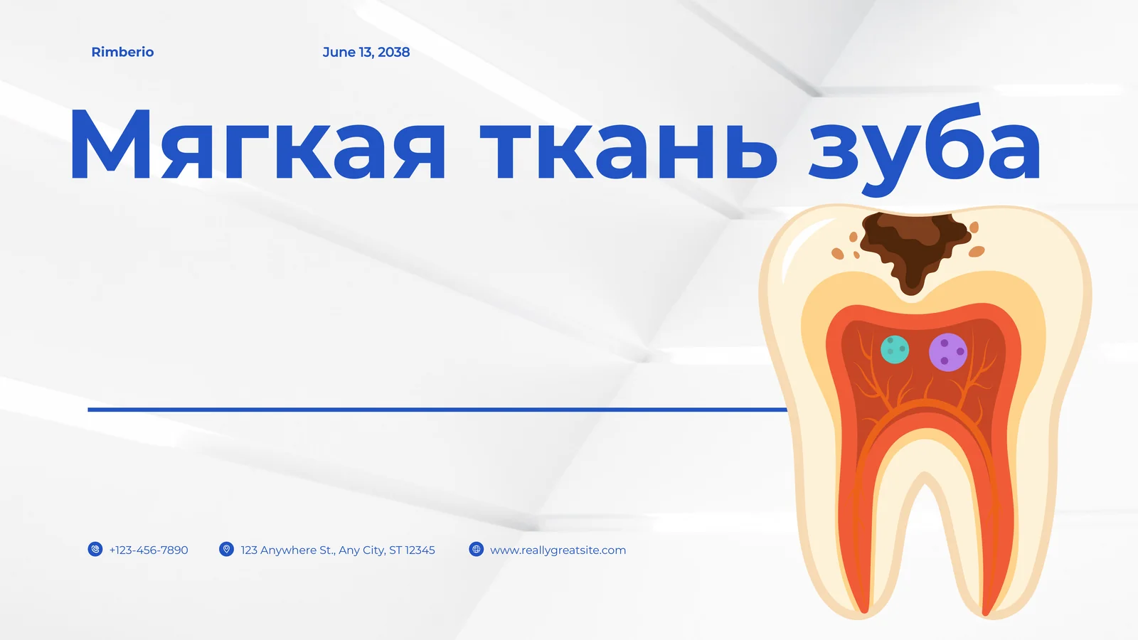 Мягкая ткань зуба