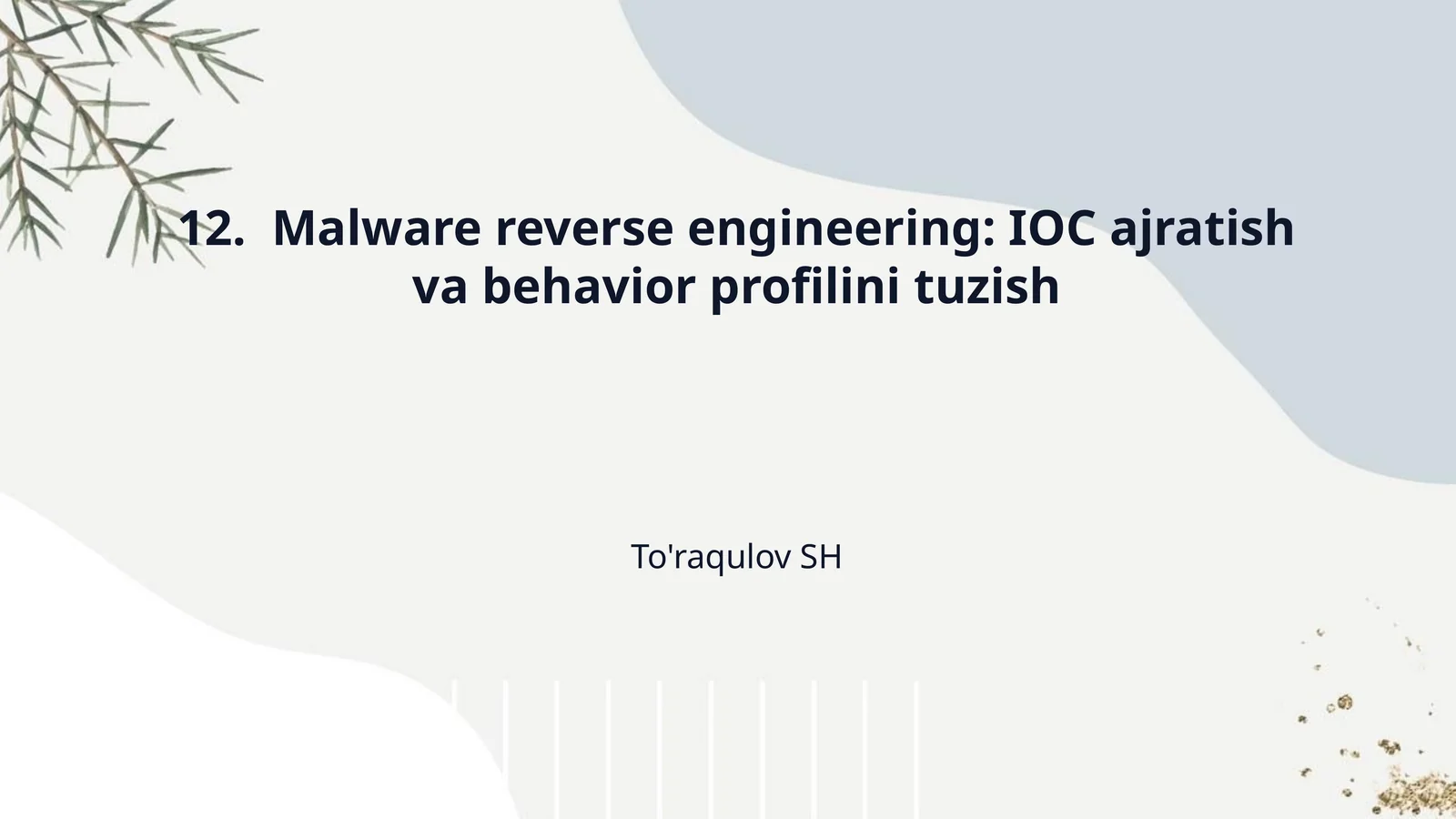 12.  Malware reverse engineering: IOC ajratish va behavior profilini tuzish