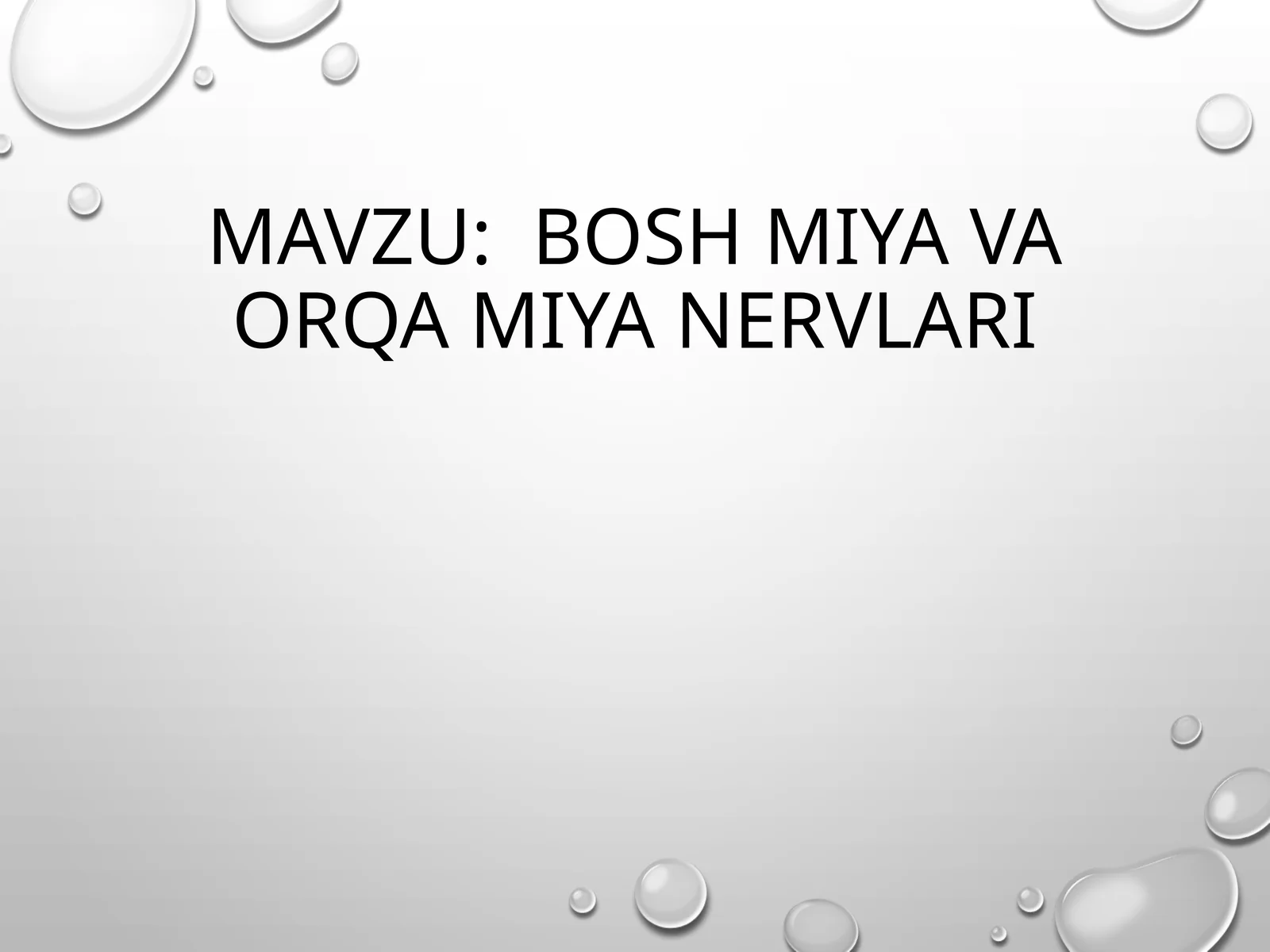 Bosh miya va orqa miya nervlari