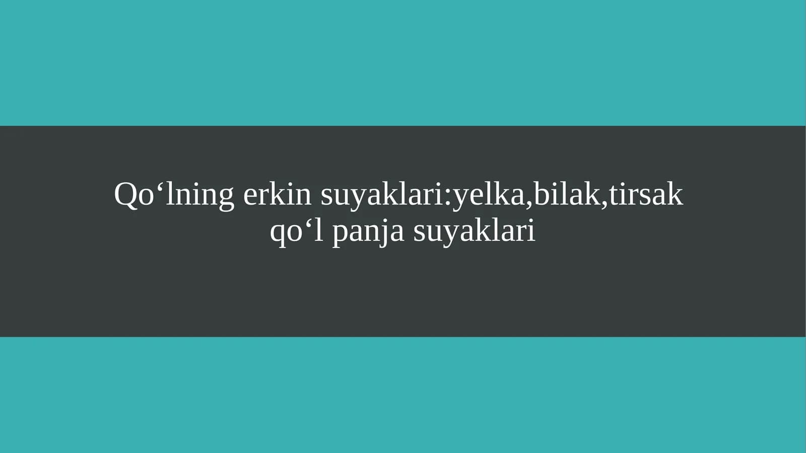 Qoʻlning erkin suyaklari yelka,bilak,tirsak qoʻl panja suyaklari
